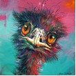 Emu 66